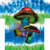 Psychedelic Shrooms Tie-Dye T-Shirt