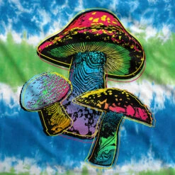 Psychedelic Shrooms Tie-Dye T-Shirt -Pink Floyd shop 11753f artwork 01338.1532375087