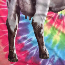 Pink Floyd Fat Old Sun White T-Shirt 11 Pink Floyd Fat Old Sun White T-Shirt -Pink Floyd shop 21836f artwork3 26548.1590010713