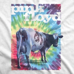 Pink Floyd Fat Old Sun White T-Shirt 9 Pink Floyd Fat Old Sun White T-Shirt -Pink Floyd shop 21836f artwork 64682.1588281133