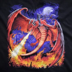 Dragon Fire Black T-Shirt -Pink Floyd shop 31750f artwork 52446.1473448481