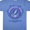 Fillmore Blue Athletic T-Shirt