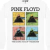 Pink Floyd Window Pane Long Sleeve T-Shirt
