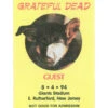 Grateful Dead 1994 08-04 Backstage Pass