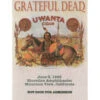 Grateful Dead 1995 06-03 Backstage Pass